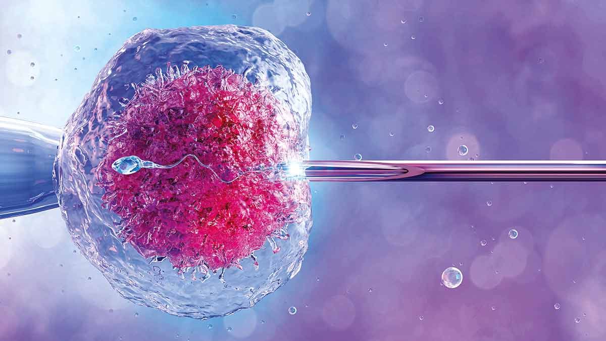 Trying for a baby after 43? THIS study reveals why most IVF success now depends on donor eggs